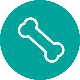 Bones & Joint Health