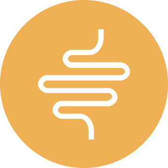 Digestion Support
