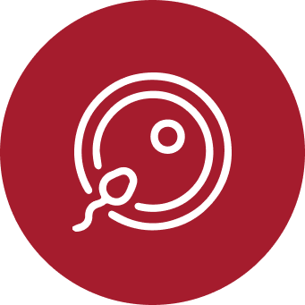 Fertility Support