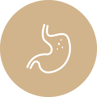 Gut Health